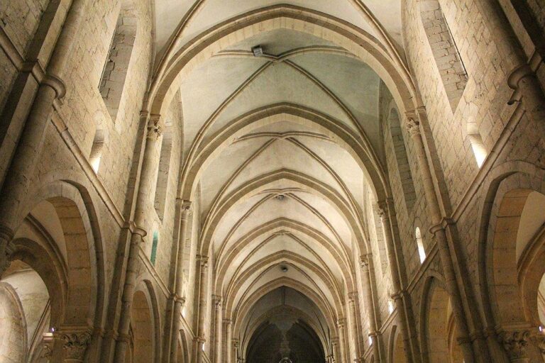 003-ordinazione-Andrea-Viselli - Francesco-Paglia.jpg