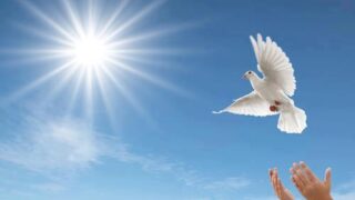 liberta-nello-Spirito