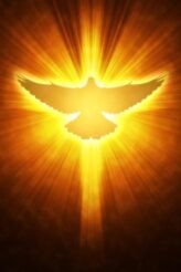 spirito fuoco2 spirito fuoco2