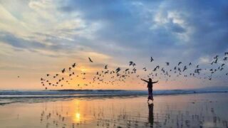 il-regno-nelle-piccole-cose