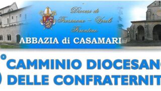 Cammino Confraternite 2015 banner