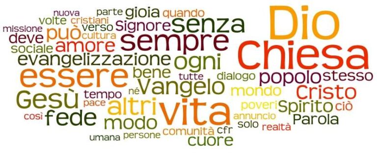 evangeliigaudium wordcloud