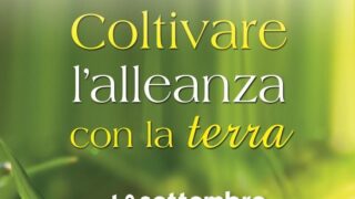 Custodia creato 2018 image