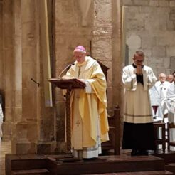 Omelia Spreafico Decennale