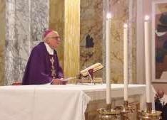 Foto ceneri 1 Foto ceneri 1