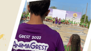 AnimaGrest
