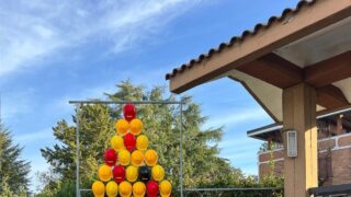 Albero della Sicurezza 04 12 2023