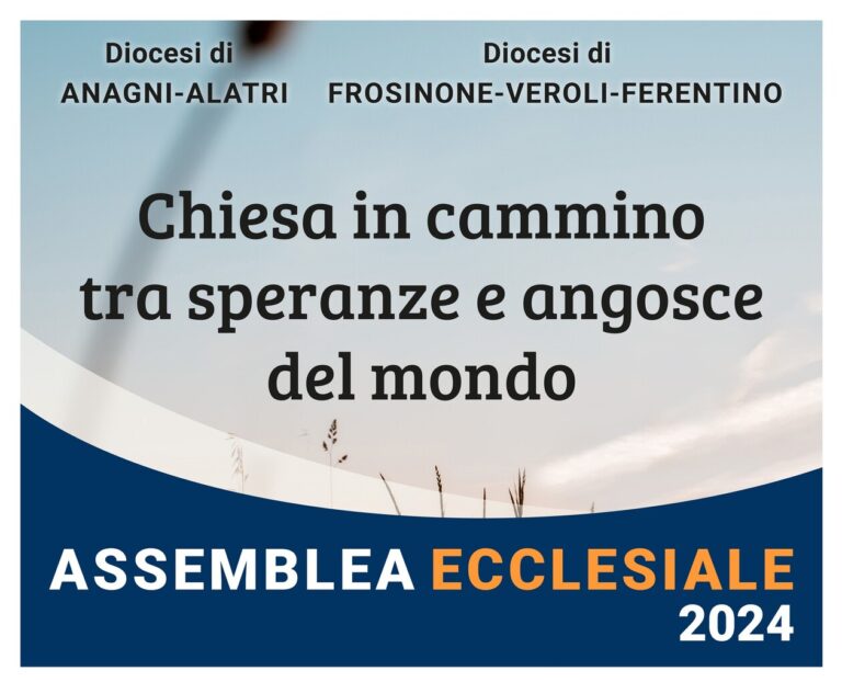 Assemblea 2024 banner Assemblea 2024 banner