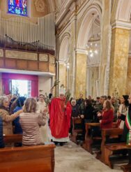 Spreafico Palme 2025