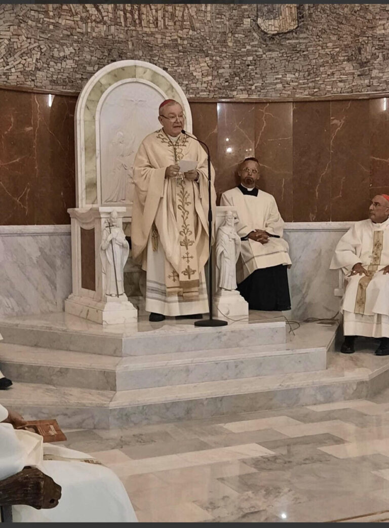 marciano fr marciano fr